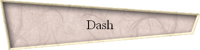 Dash