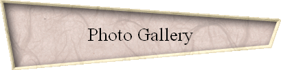 Photo Gallery